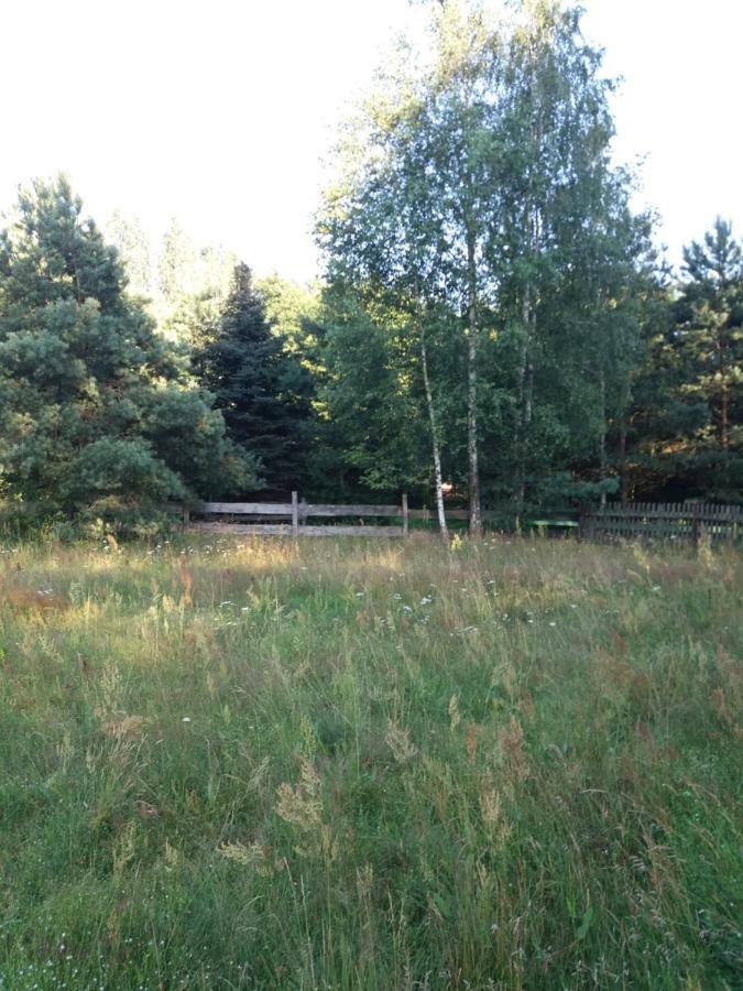 Siedlisko Nasza Chata Popiolki Buitenkant foto