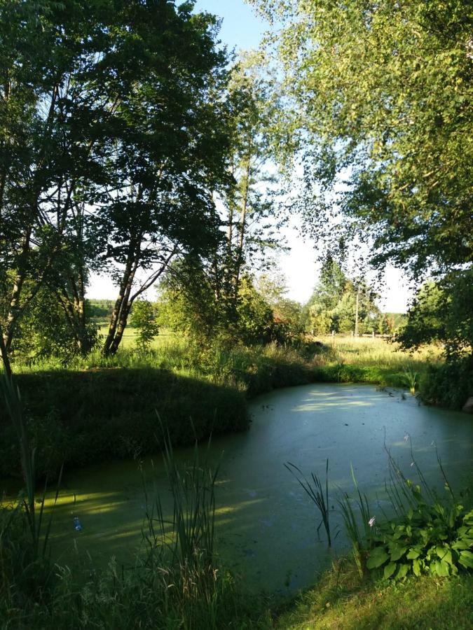 Siedlisko Nasza Chata Popiolki Buitenkant foto