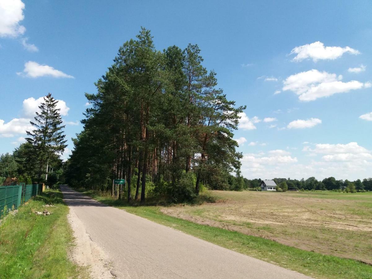 Siedlisko Nasza Chata Popiolki Buitenkant foto
