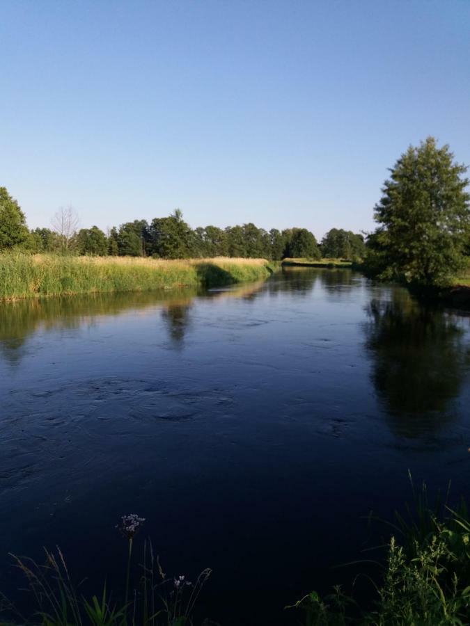 Siedlisko Nasza Chata Popiolki Buitenkant foto