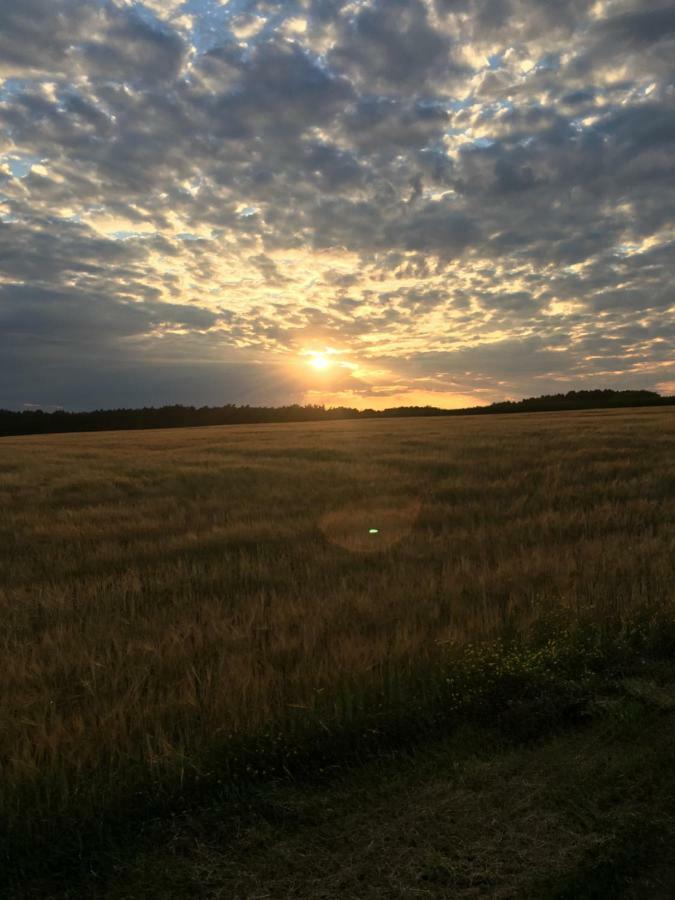 Siedlisko Nasza Chata Popiolki Buitenkant foto