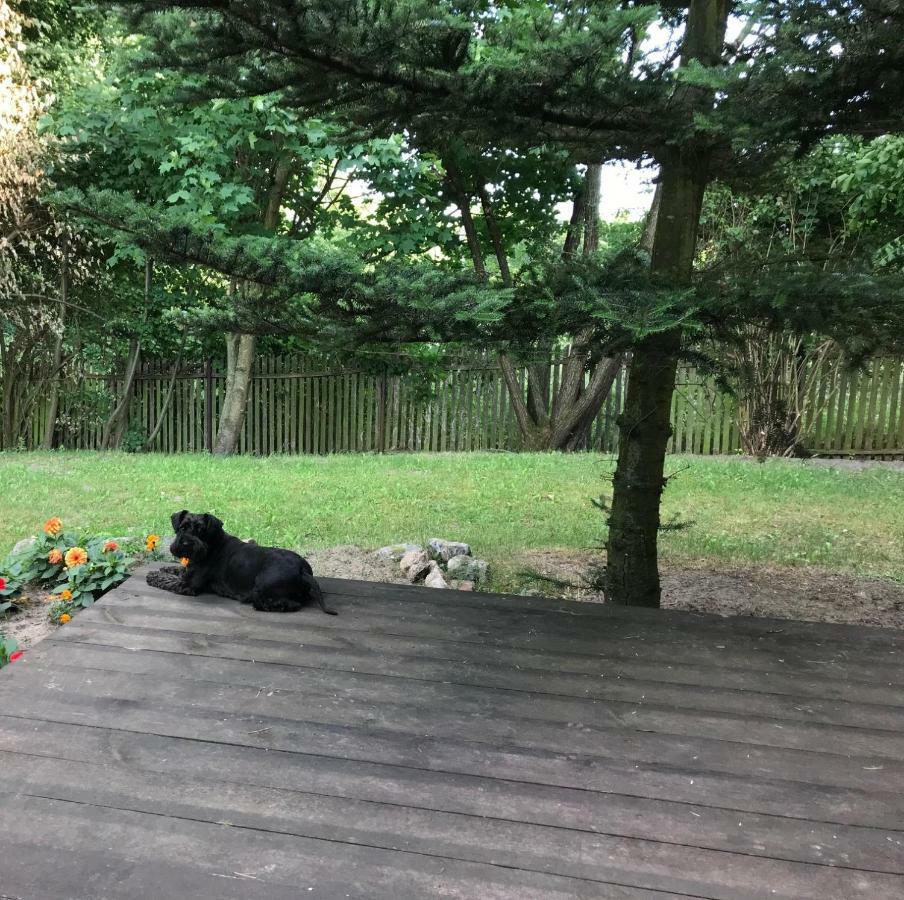 Siedlisko Nasza Chata Popiolki Buitenkant foto