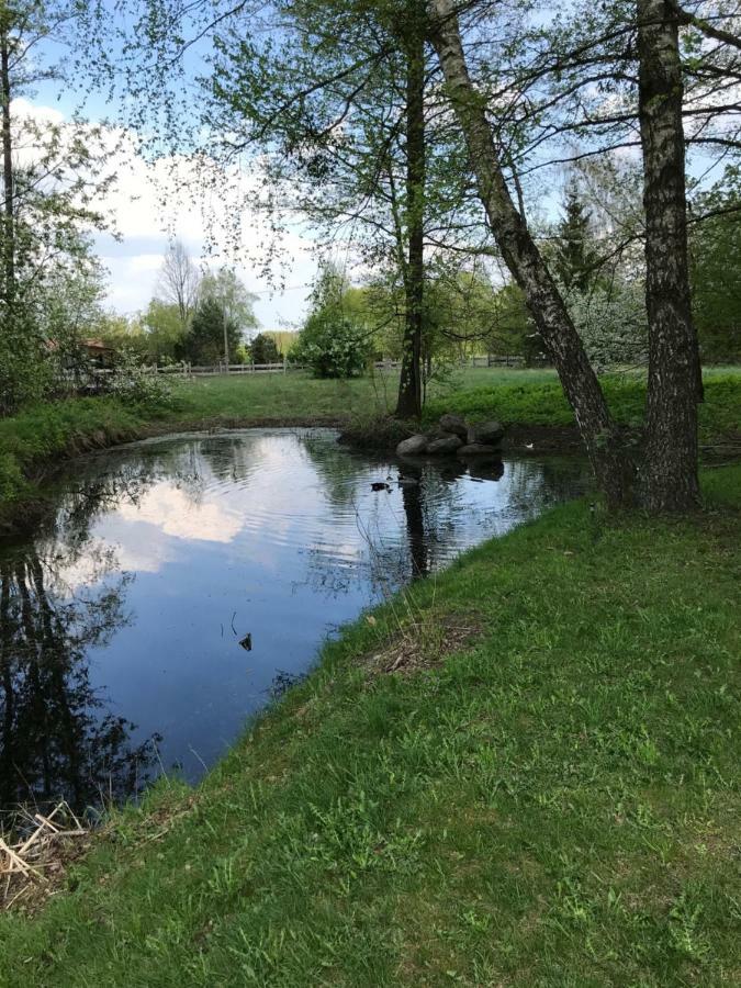 Siedlisko Nasza Chata Popiolki Buitenkant foto